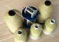 High Tenacity High Temperature Sewing Thread 18S/3 With Corrosion Resistance